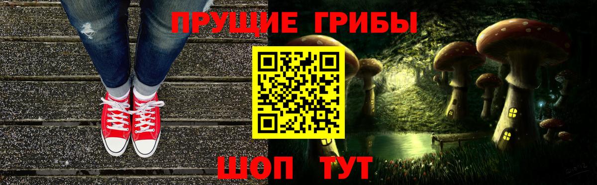 Галлюциногенные грибы GOLDEN TEACHER  Псилоцибиновые грибы MAGIC MUSHROOMS  Искитим  Вход с VPN 