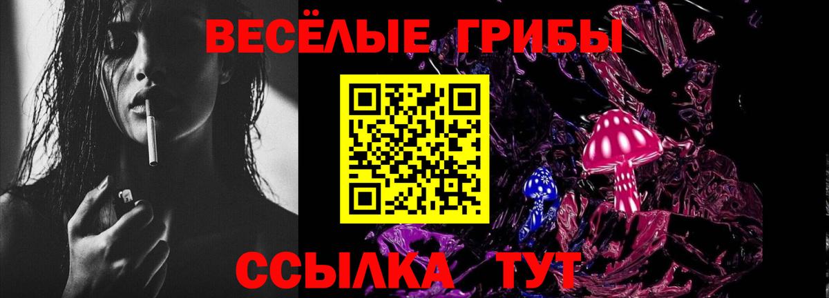 Псилоцибиновые грибы ЛСД Искитим